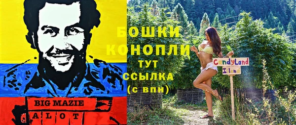 ГАЛЛЮЦИНОГЕННЫЕ ГРИБЫ Алзамай