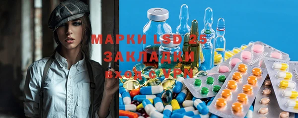 ГАЛЛЮЦИНОГЕННЫЕ ГРИБЫ Алзамай
